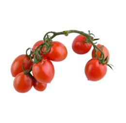 Red Cherry Tomato